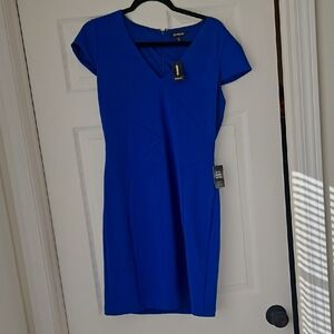 Express Women's Bold Blue Mini Dress